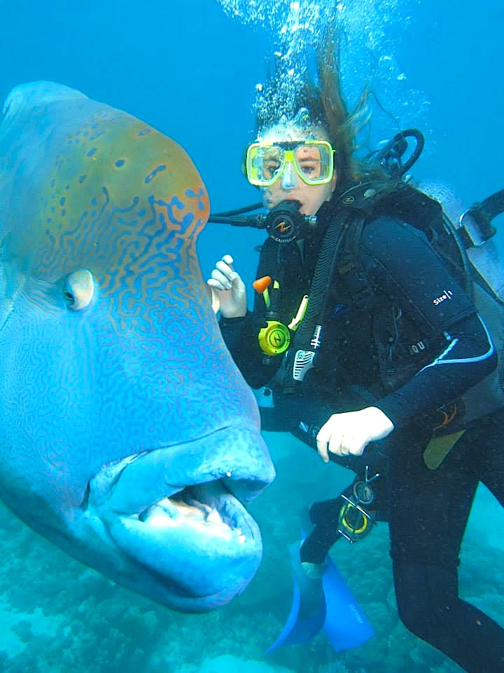 Student scuba diving with a large fish next to her